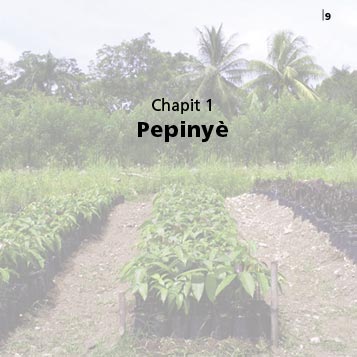 chapitre "Pépinière"